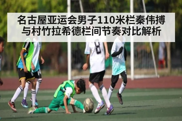 名古屋亚运会男子110米栏秦伟搏与村竹拉希德栏间节奏对比解析