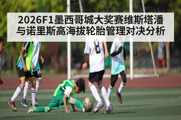 2026F1墨西哥城大奖赛维斯塔潘与诺里斯高海拔轮胎管理对决分析